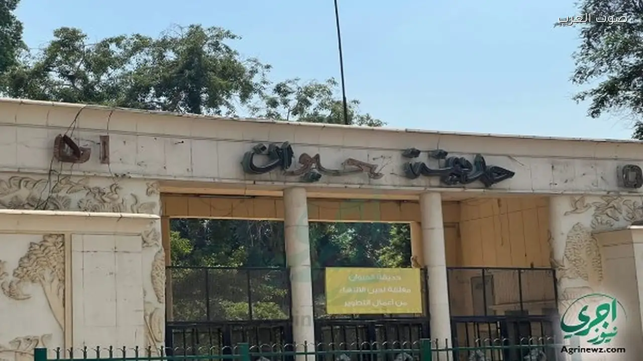 حديقة الحيوان بالجيزة تكشف موعد افتتاحها بعد التطوير