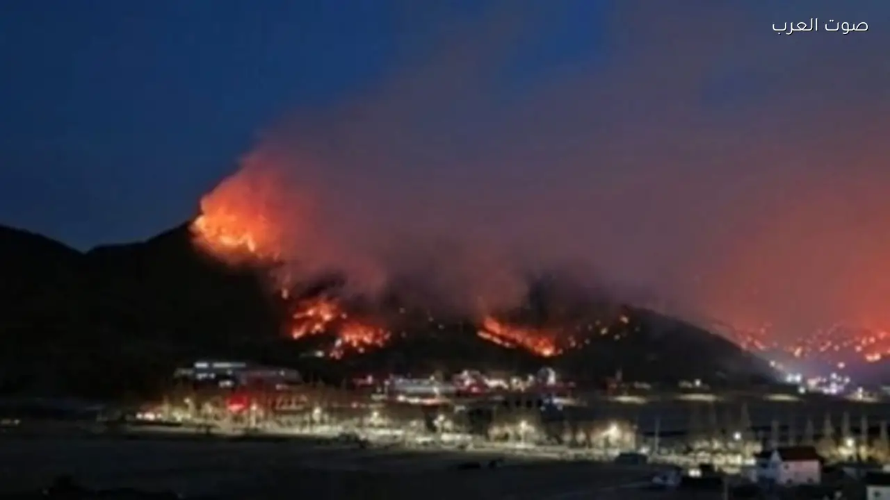 حرائق الغابات تواصل اجتياح مدينة ميريانغ في كوريا الجنوبية