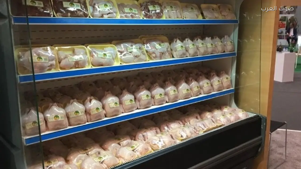 خفض أسعار الدواجن المجمدة قبل رمضان