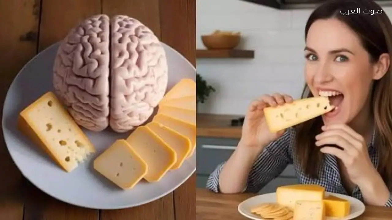 دراسة جديدة تكشف تأثير الجبن على صحة الدماغ