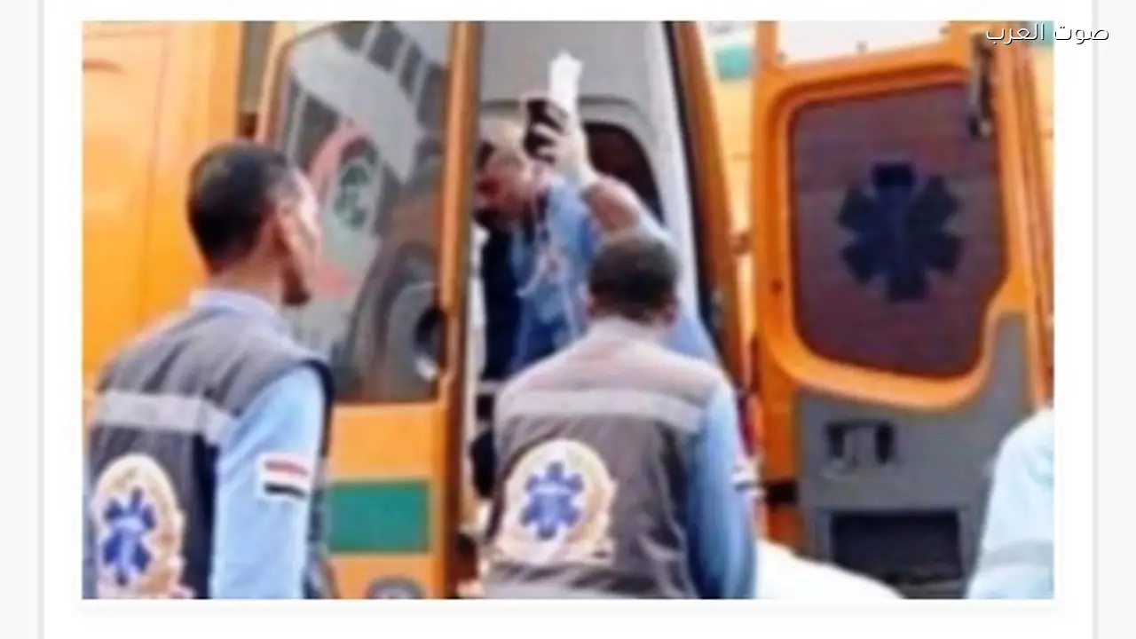 زوج يقتل زوجته في المحلة بعد صراخ طفلهما