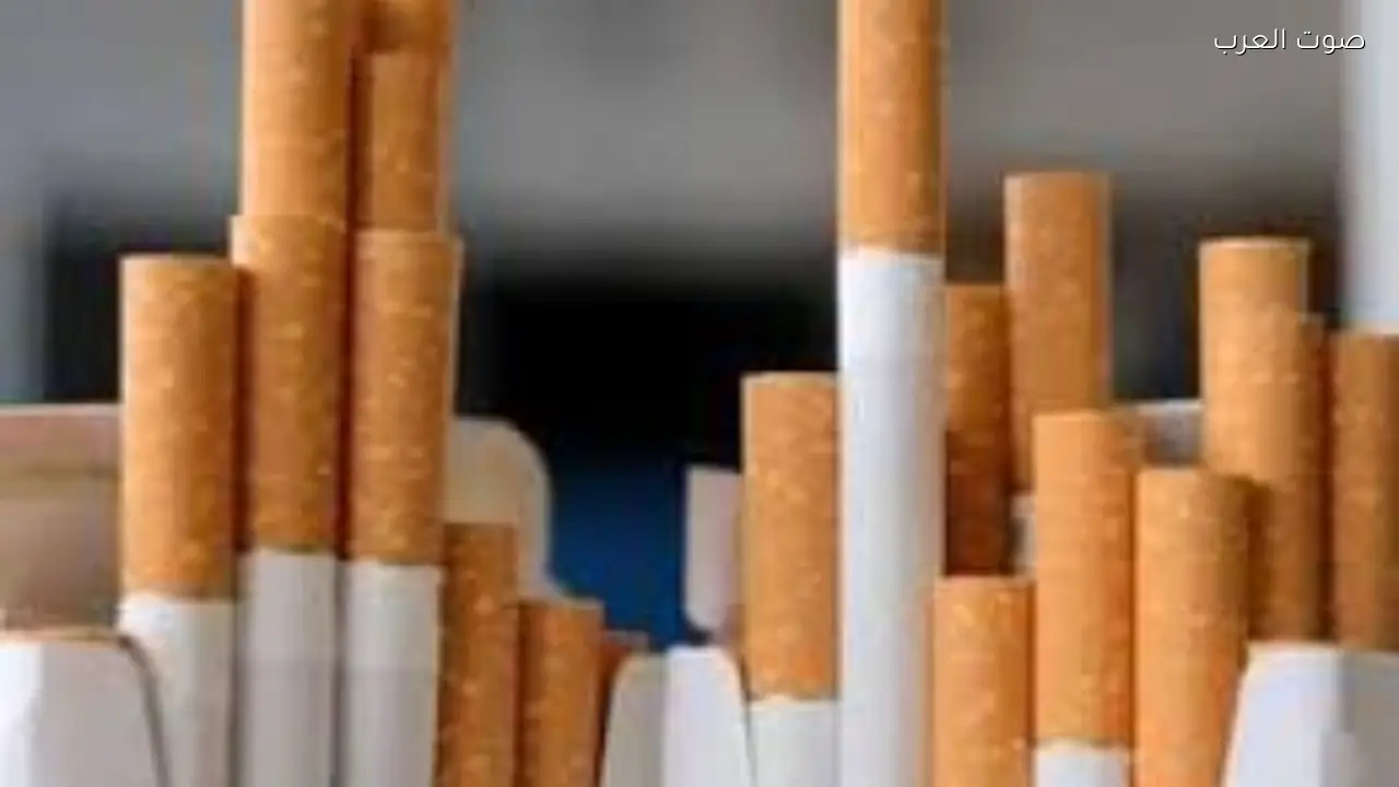 زيادة أسعار السجائر المحلية غداً وكليوباترا تصل إلى 48 جنيهًا