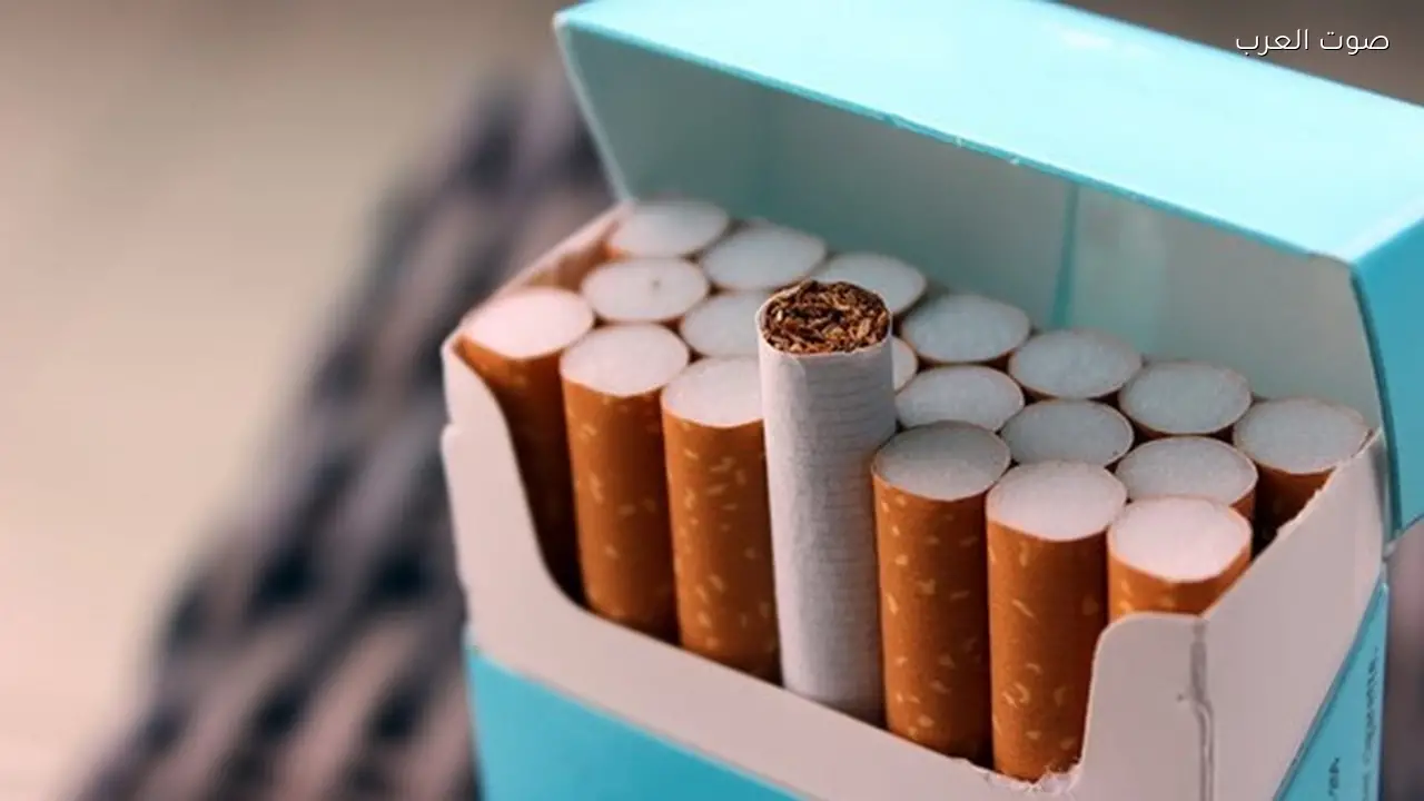 زيادة أسعار السجائر في مصر تشمل كليوبترا ومارلبورو وإل إم