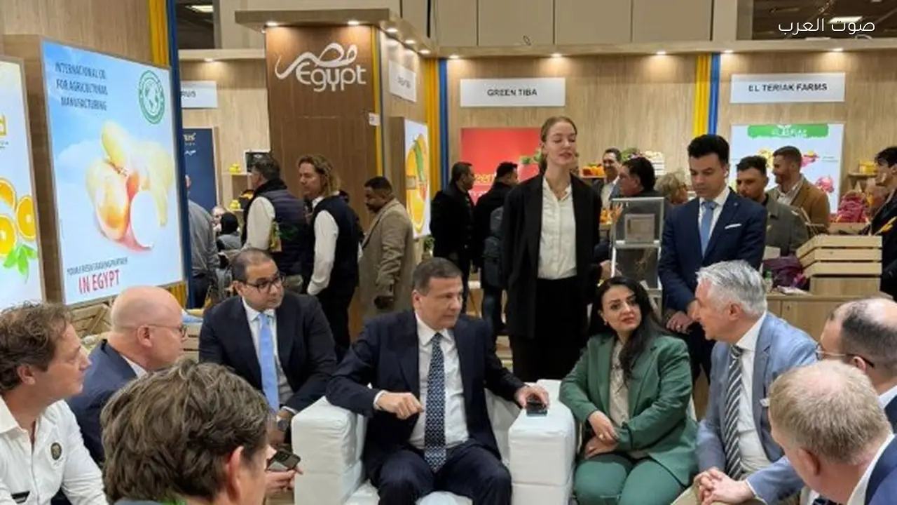 زيادة صادرات مصر من الخضروات والفاكهة إلى ألمانيا بنسبة 25.7%