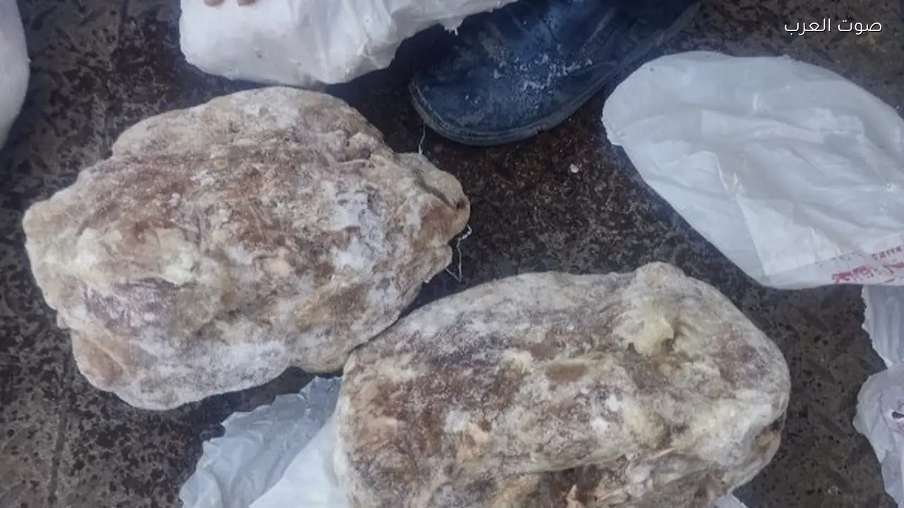 ضبط 209 أطنان لحوم غير صالحة في يناير وتحرير 1003 محاضر