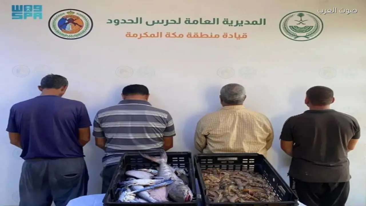 ضبط أربعة مخالفين للائحة الأنشطة البحرية في القنفذة