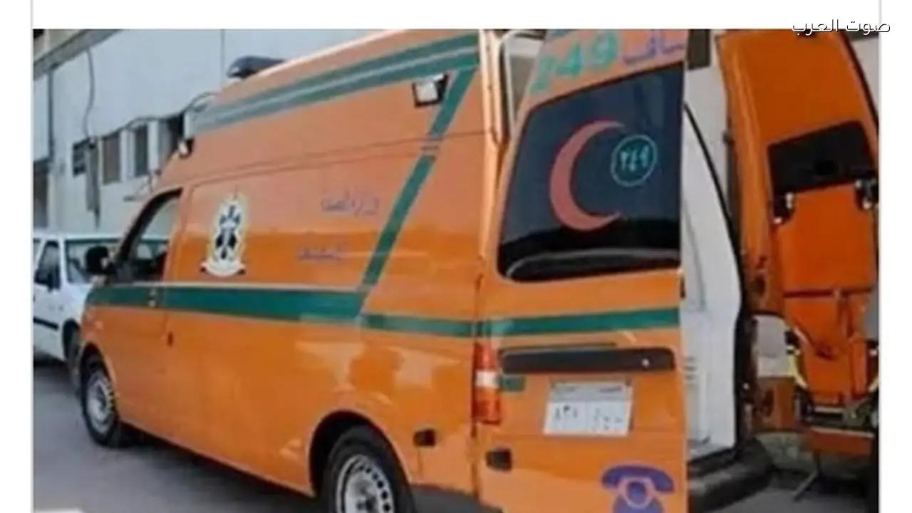 ضبط متهم بقتل سيدة خلال مشاجرة جيرة في أسوان