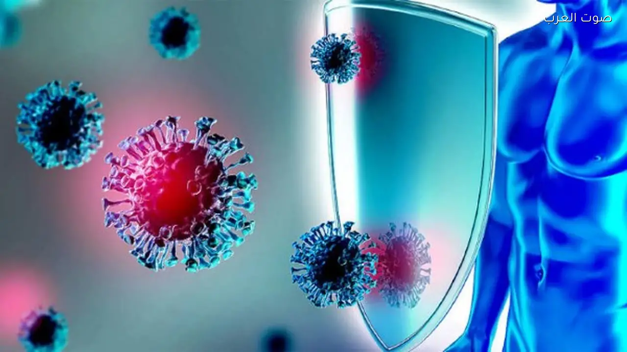 طرق طبيعية لتقوية المناعة باستخدام الفواكه والخضراوات