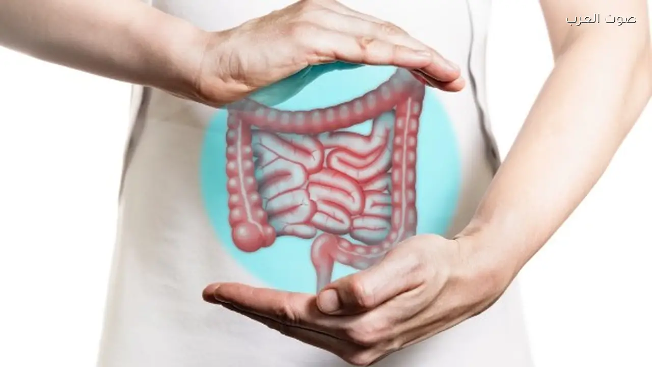 عادة بسيطة قبل الإفطار تحمي من اضطرابات المعدة في رمضان