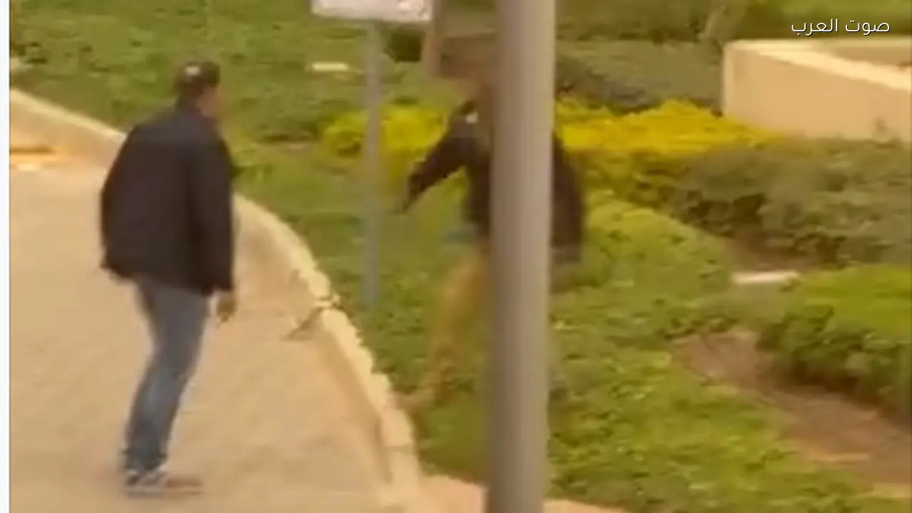 فرد أمن في كمبوند بالتجمع يتعرض للاعتداء ويحرر محضرا