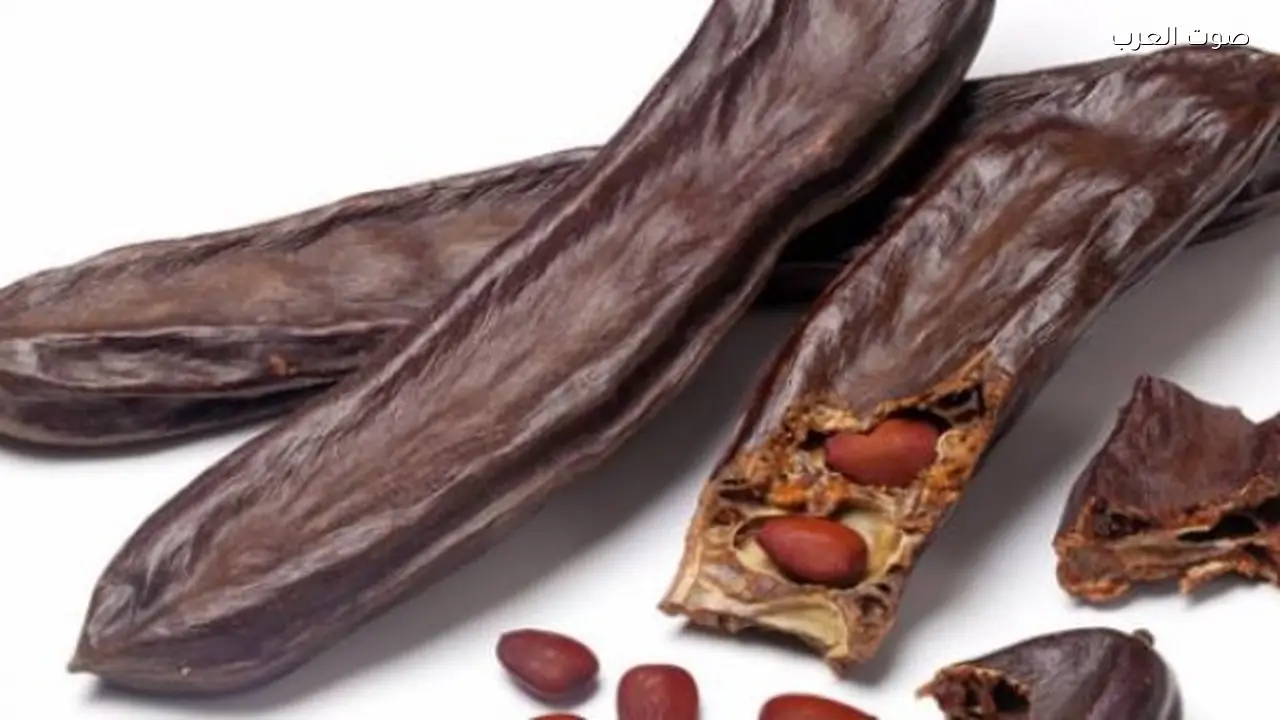 فوائد الخروب لجسمك خلال شهر رمضان