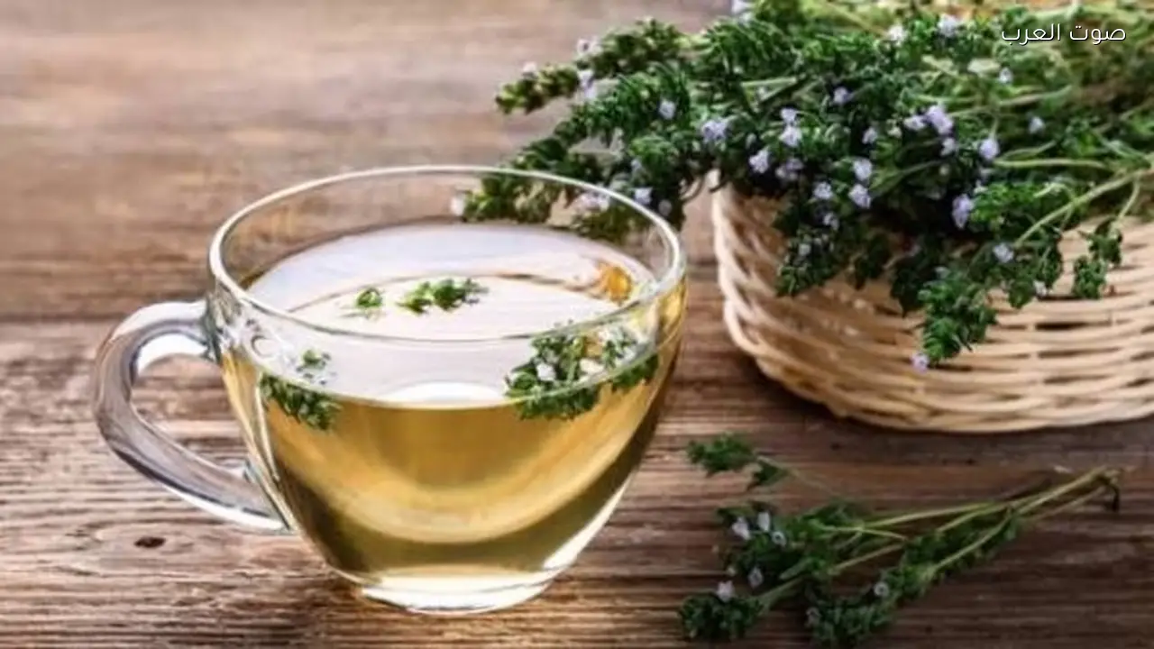 فوائد الزعتر الصحية تتجاوز البرد والسعال