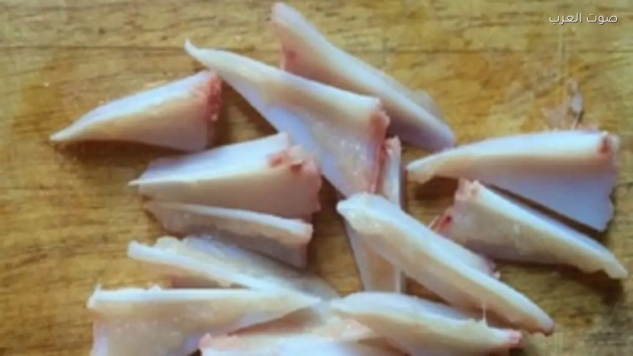 فوائد القرقوشة في صدور الدجاج لصحة المفاصل