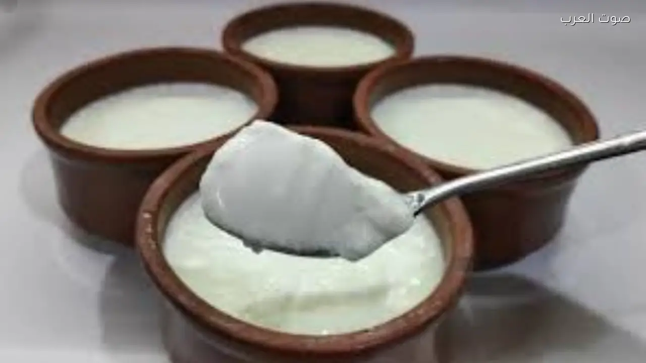 فوائد تناول الزبادي في السحور لصحة الجسم