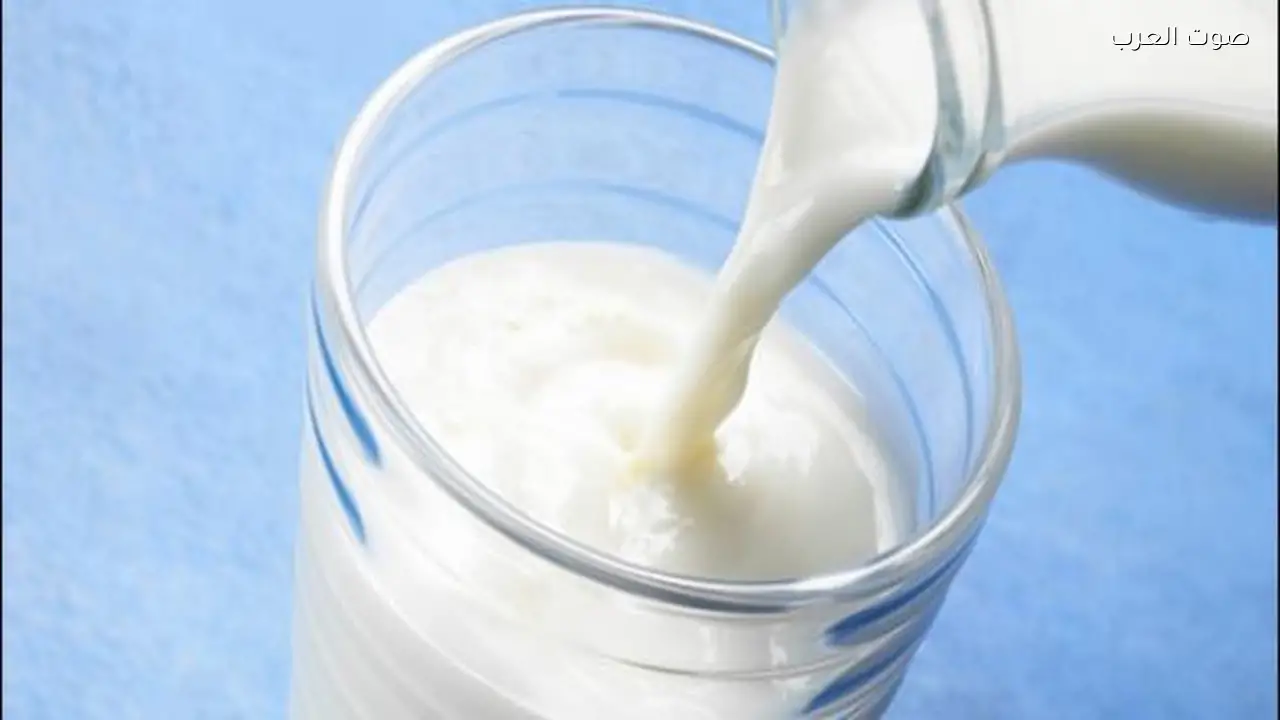 فوائد وتحذيرات اللبن الرائب على مائدة إفطار رمضان