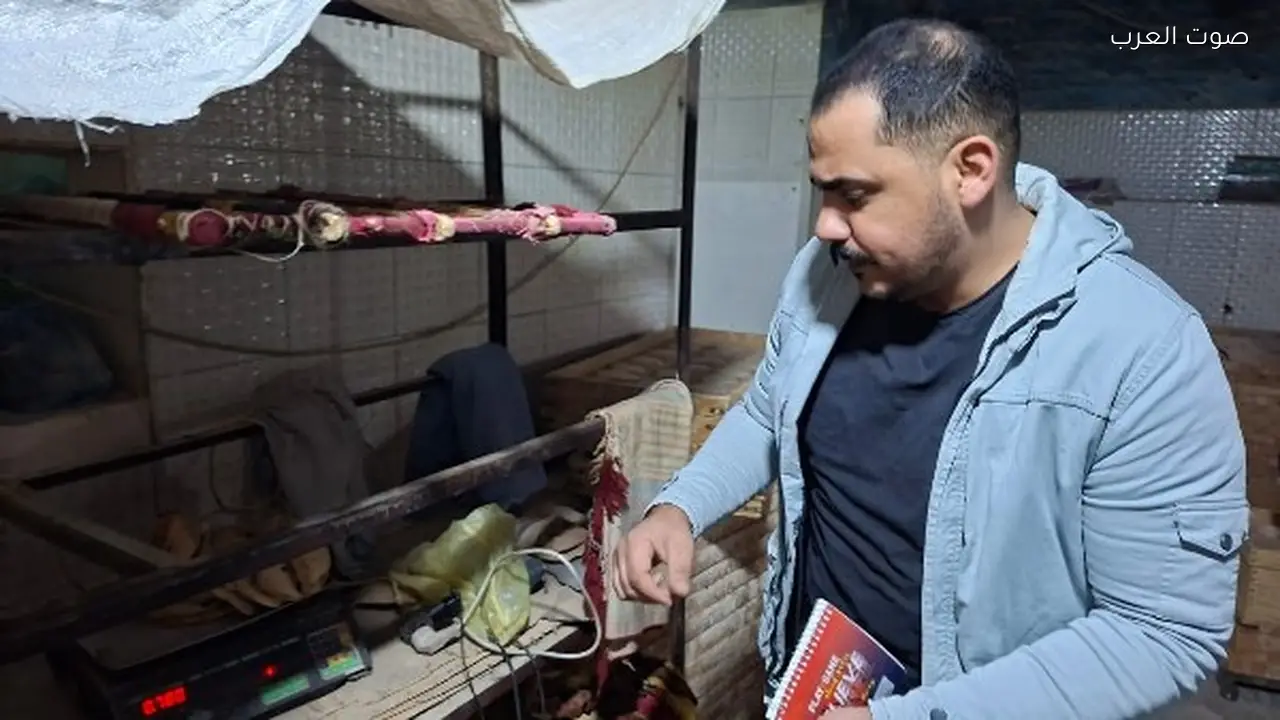 محافظ الغربية يطلق حملة تفتيشية على مخابز الخبز المدعم