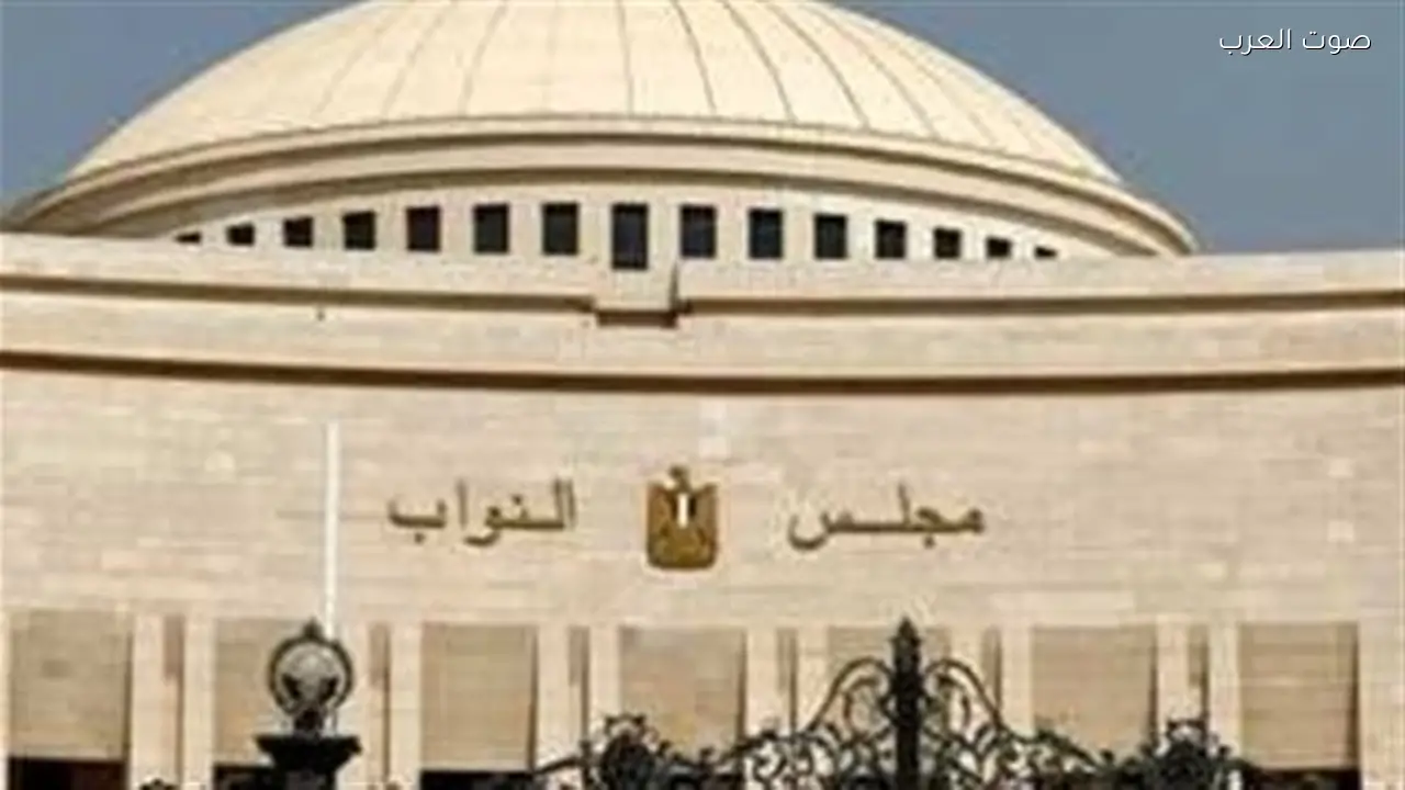 محكمة النقض تلغي انتخابات منيا القمح وتقرر إعادتها