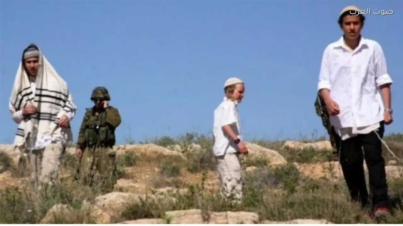 مستوطنون يهاجمون مناطق في بيت لحم وأريحا بالضفة الغربية