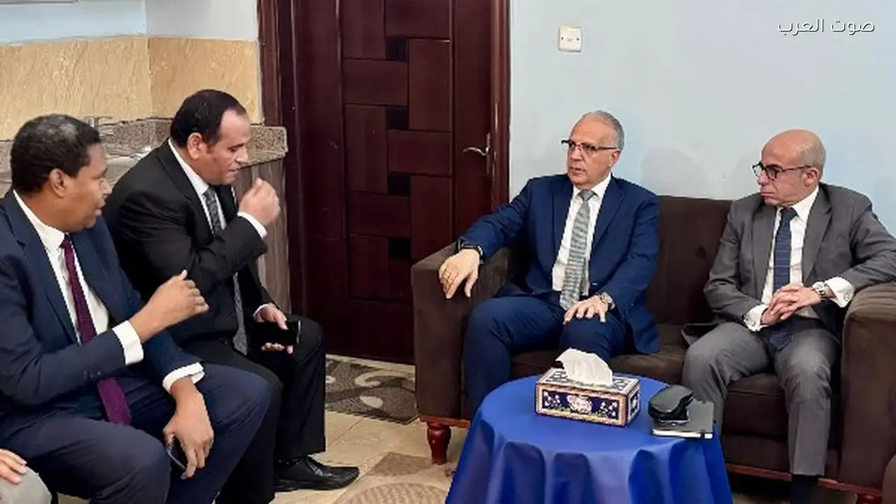 مشروعات مصر في جنوب السودان تدعم تنمية دول حوض النيل