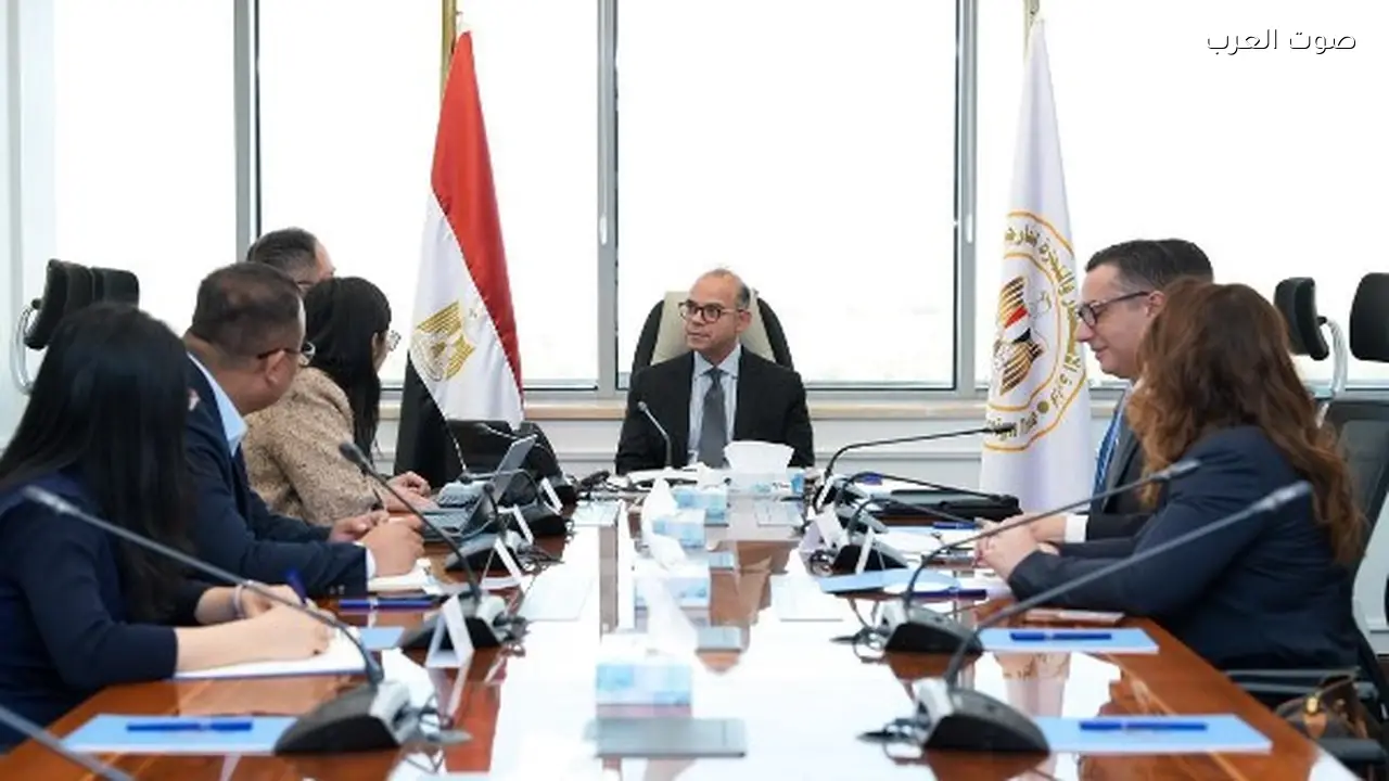 مصر تحصل على استثمار صيني بقيمة 100 مليون دولار لمركز تصنيع إطارات