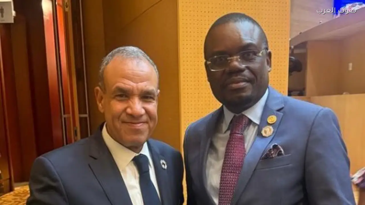 مصر تعرض خبراتها الصحية والدوائية لدول أفريقيا