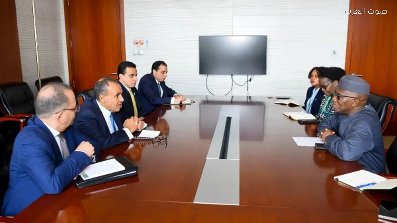 مصر تعزز السلم والاستقرار في أفريقيا عبر جهود دبلوماسية