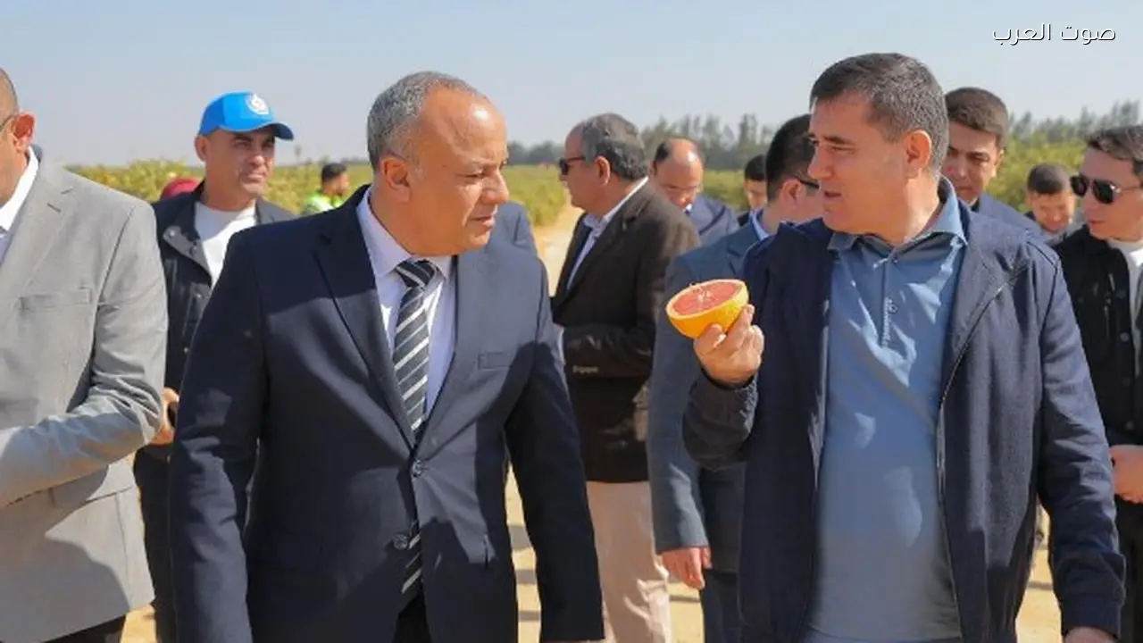 مصر وأوزبكستان تبحثان فرص التعاون في الاستثمار الزراعي