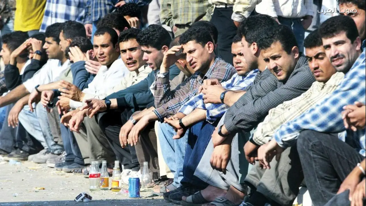 معدل البطالة ينخفض إلى 6.2٪ في الربع الرابع 2025