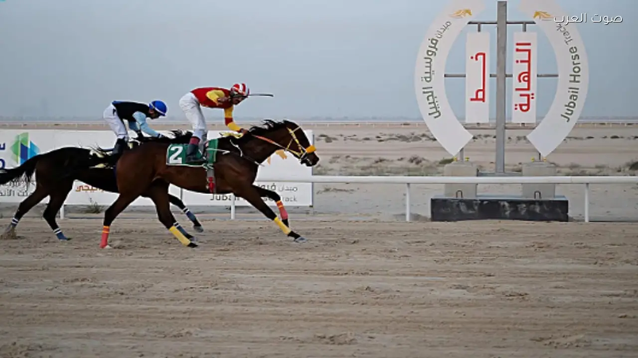 ميدان فروسية الجبيل يختتم موسم سباقات الخيل 1447هـ
