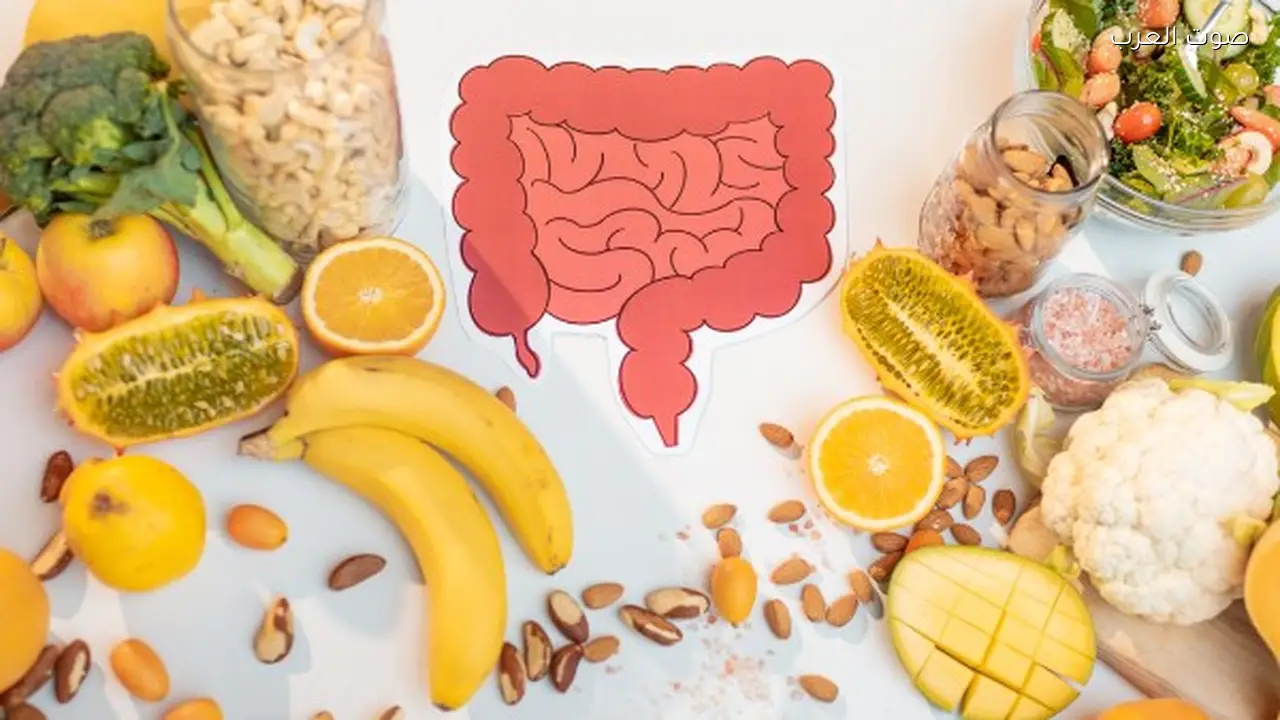 نصائح غذائية لمريض القولون العصبي في رمضان من التأمين الصحي