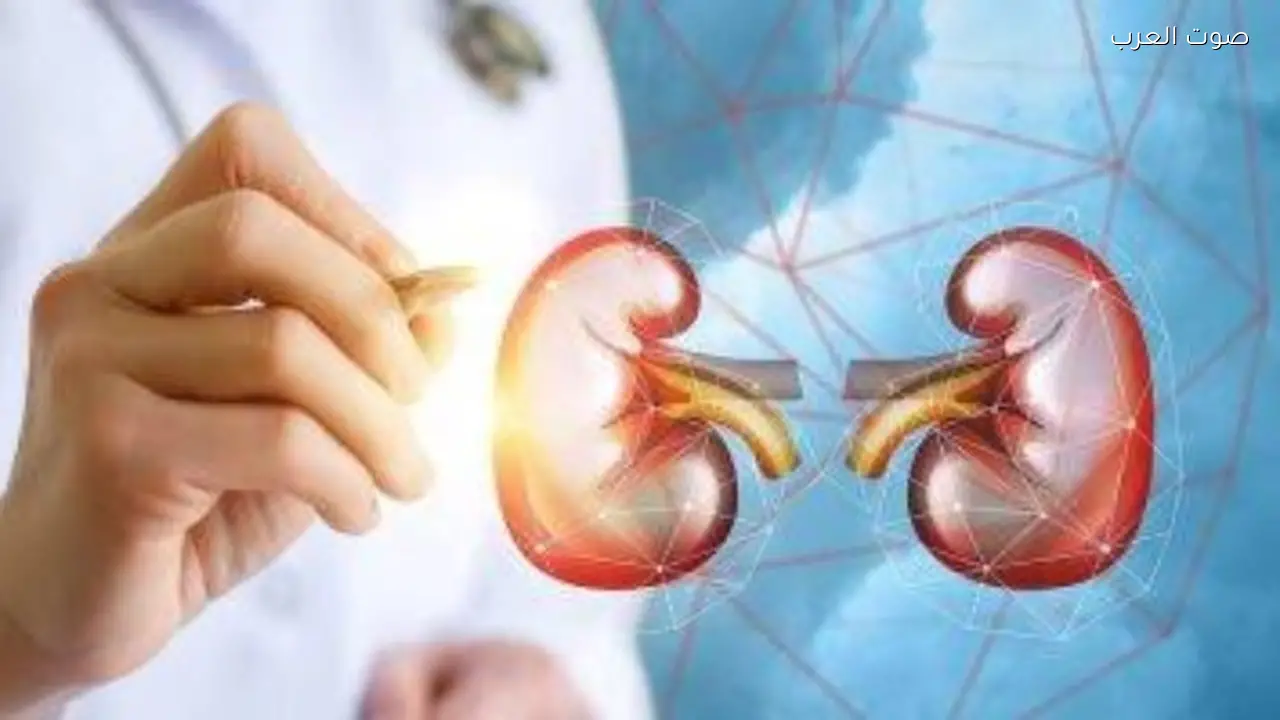 نصائح للحفاظ على صحة الكلى خلال صيام رمضان