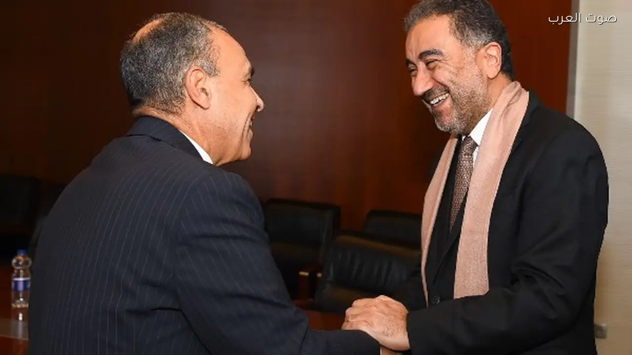 وزير الخارجية: تعزيز استفادة الدول الأفريقية من مجموعة العشرين