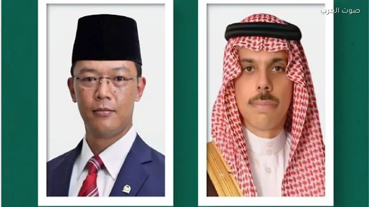 وزير الخارجية يناقش القضايا الإقليمية والدولية مع نظيره الإندونيسي