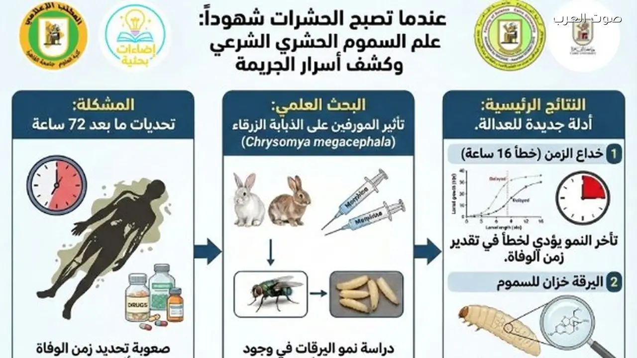 “يرقات الذبابة الزرقاء تكشف أسرار الجرائم في إنجاز علمي لعلوم القاهرة”