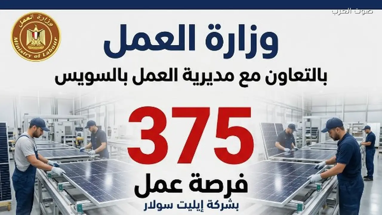 375 فرصة عمل جديدة في السويس