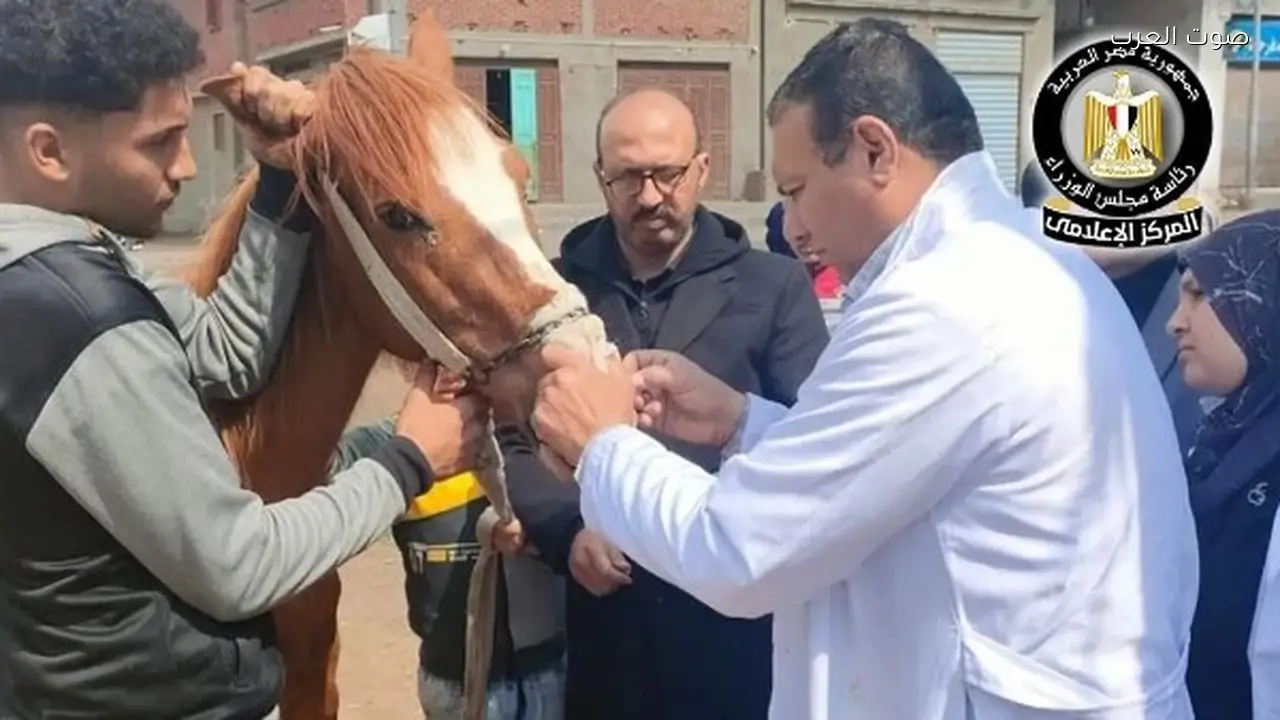 510 قوافل بيطرية مجانية في يناير وفبراير