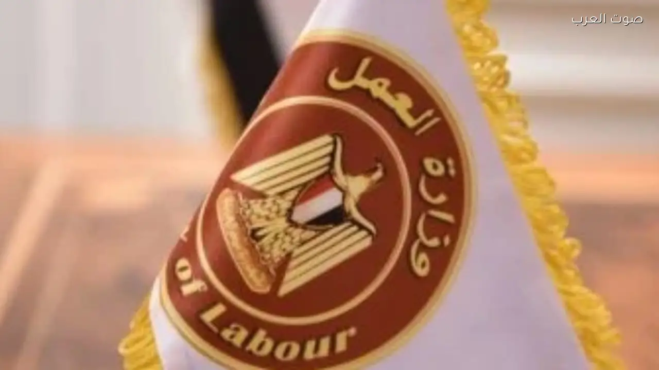 5188 فرصة عمل جديدة من وزارة العمل برواتب وتأمين شامل