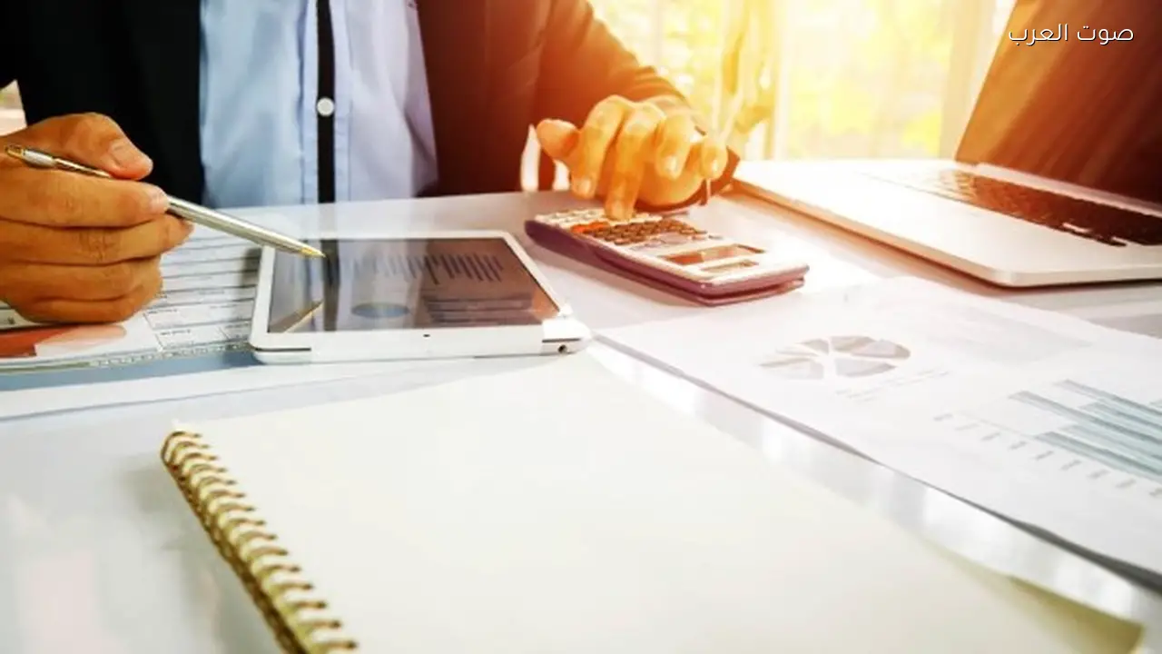 943 شركة تمارس نشاط التخصيم حتى نهاية ديسمبر 2025