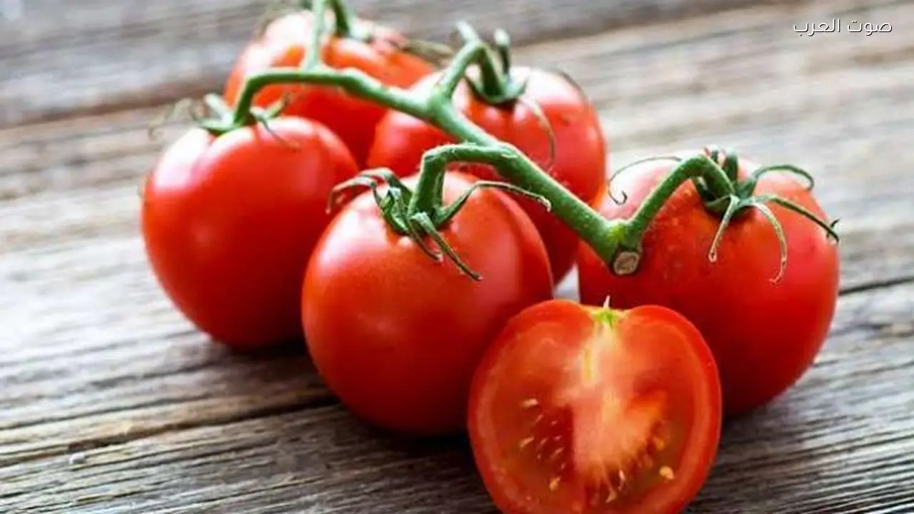 أسعار الطماطم في مصر تصل إلى أعلى مستوياتها التاريخية