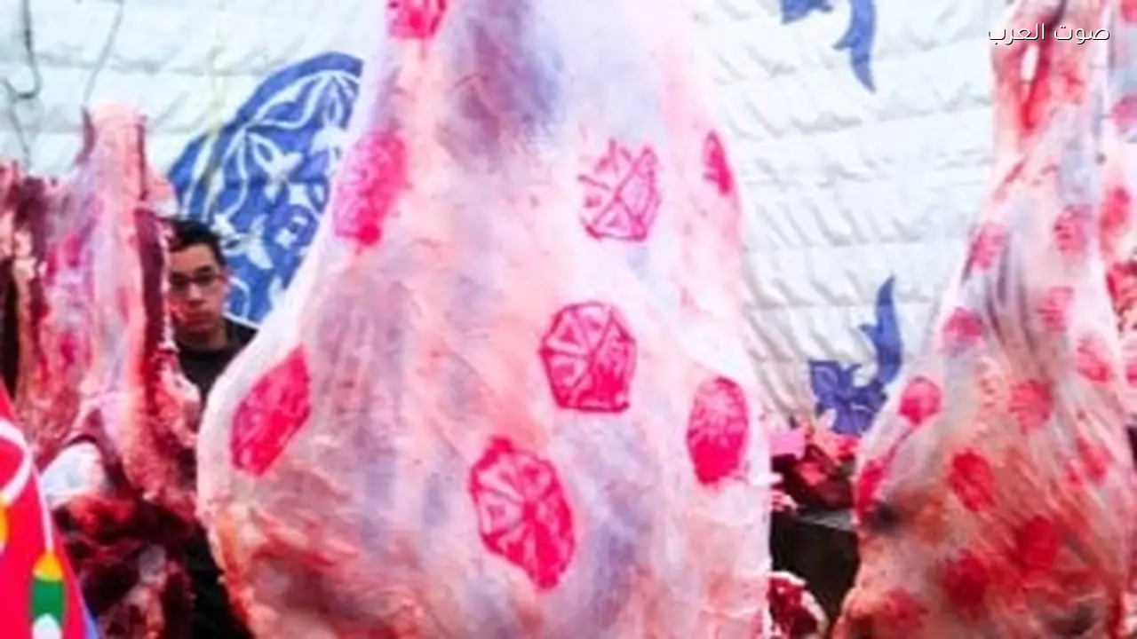 أسعار اللحوم البلدية في قنا اليوم الإثنين