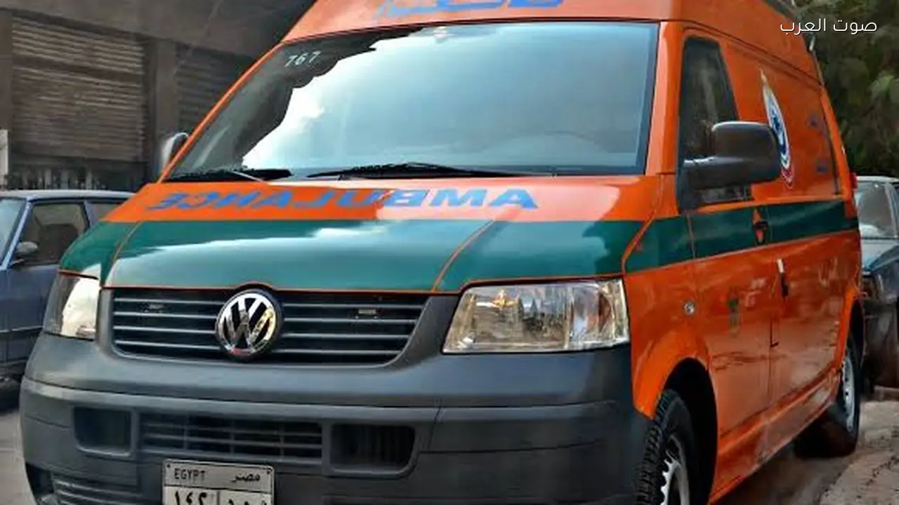 إصابة 5 أشخاص بينهم سيدتان في مشاجرة بالدقهلية