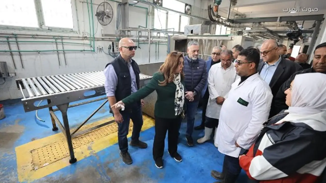 إقالة مدير الطب البيطري بالإسكندرية بسبب مخالفات في المجزر الآلي