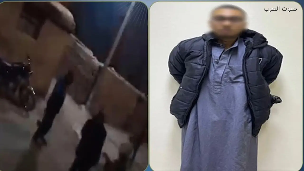 اعترافات متهم بتهديد والدته بالقتل في قنا