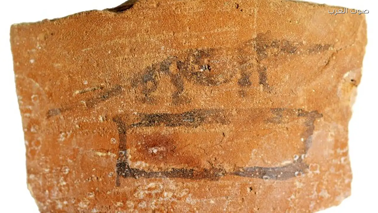 اكتشاف 13 ألف أوستراكا في موقع أتريبس الأثري بسوهاج