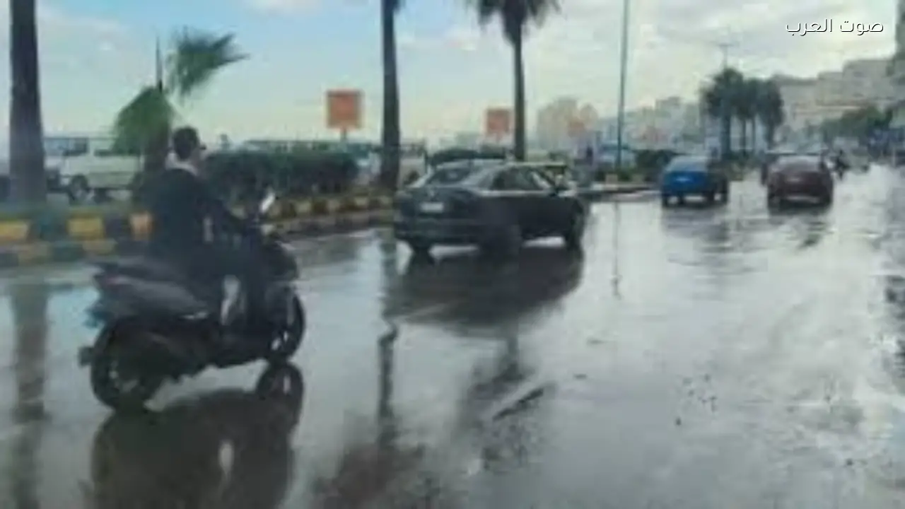 الأرصاد تحذر من شبورة كثيفة وصقيع ليلاً مع أمطار غداً