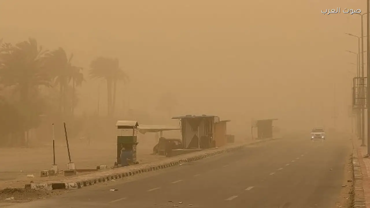 التنمية المحلية تحذر المواطنين من الاقتراب من أعمدة الإنارة والأشجار