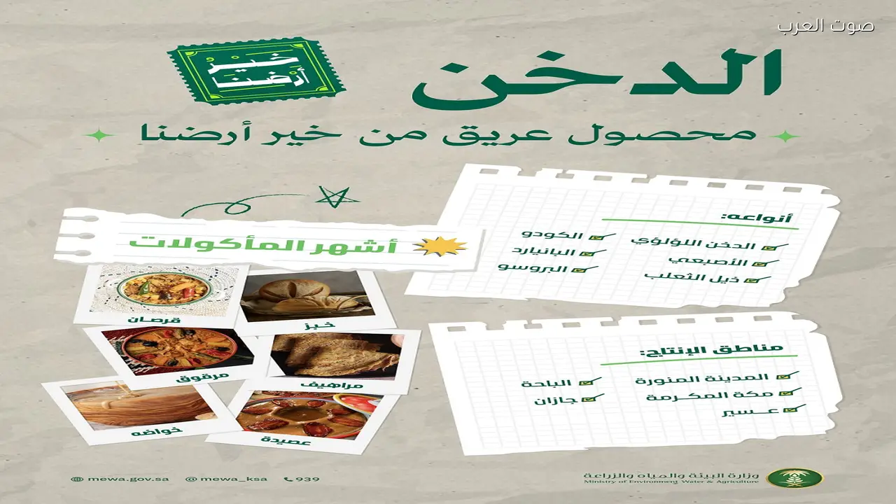 الدخن الوطني يعزز الأمن الغذائي ويدعم الزراعة المستدامة في السعودية