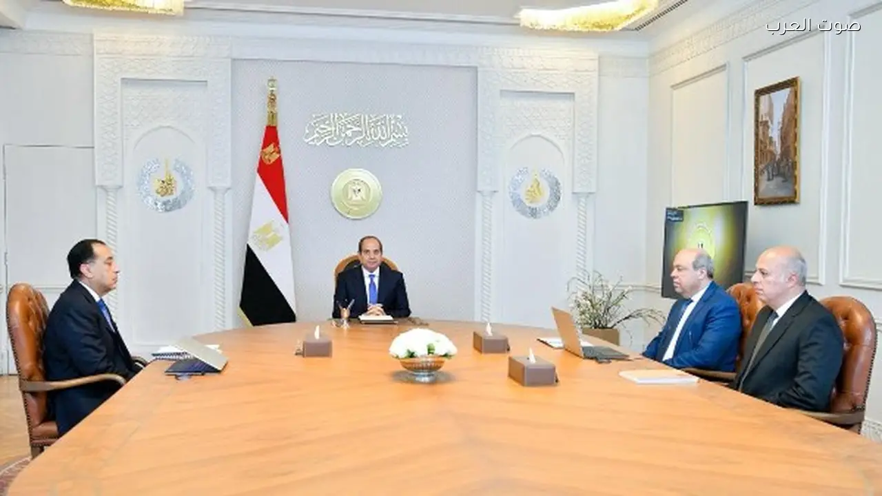 الرئيس السيسي يؤكد أولوية تطوير شركة مصر للطيران