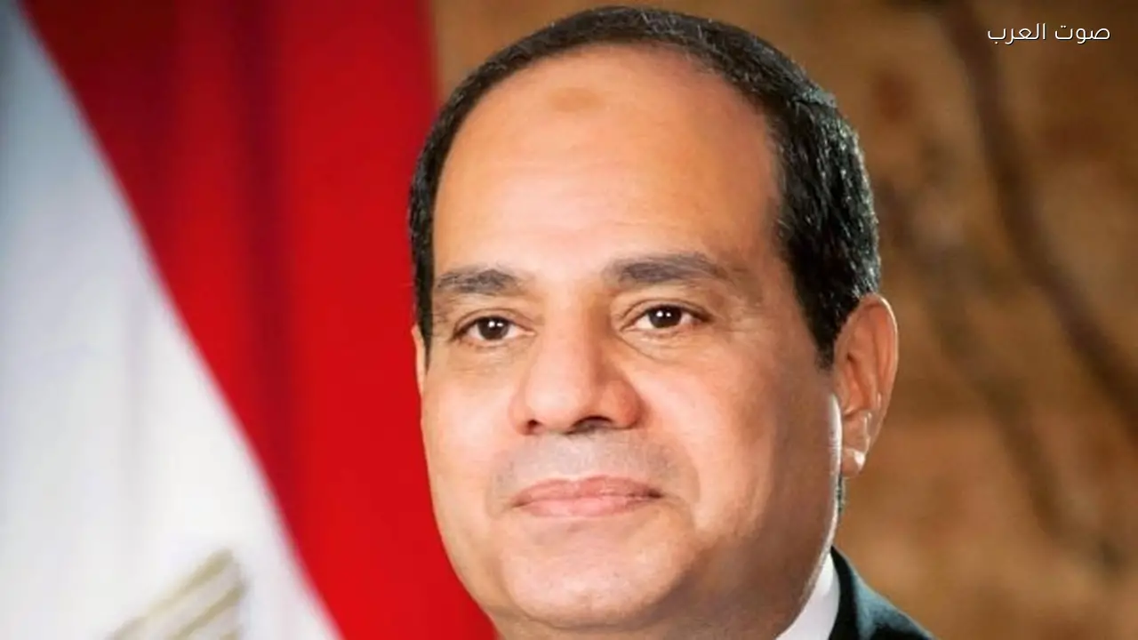 الرئيس السيسي يستعرض جهود مصر لتهدئة الأوضاع مع رئيس إندونيسيا