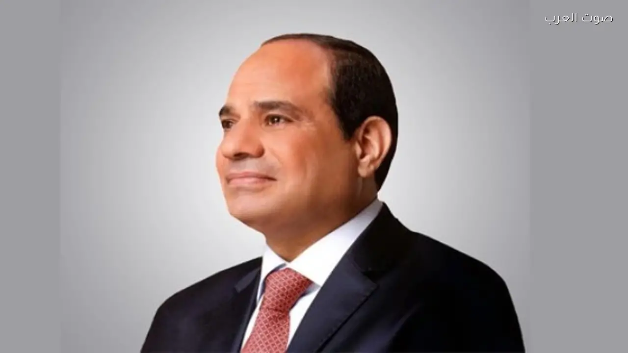 الرئيس السيسي يوجه بزيادة جاهزية المشروعات البحرية والرقمنة